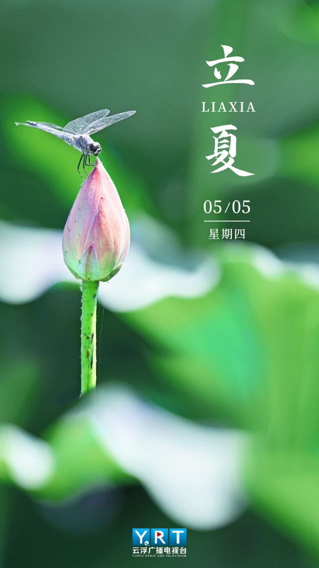 夏天，你好