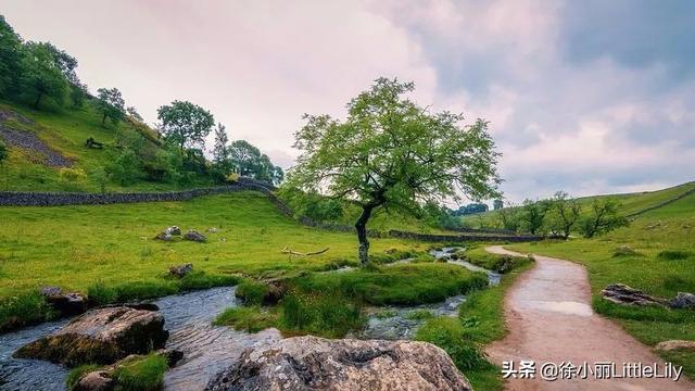 黄帝内经中五行指的是什么意思？
