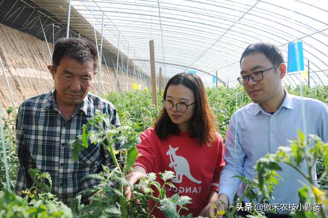 哪几种情况容易造成作物发生植物生长调节剂药害？注意这7点6