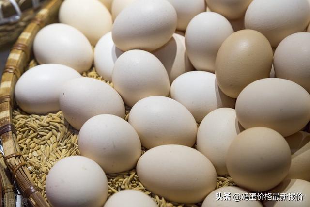 明天鸡蛋价格早知道，2022年4月21日鸡蛋价格行情参考