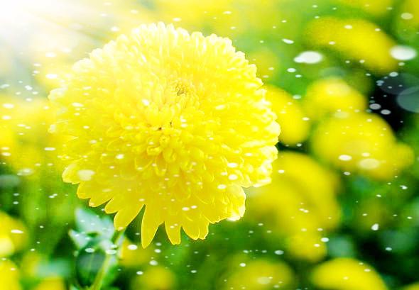 古诗词常用典故善哉乎鼓琴汤汤乎若流水 新闻时间