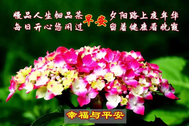 5月9日好友的问候与我的回复（2022年）