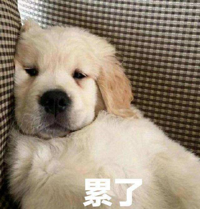 全剧组苦等、拍戏用替身、片场大吵大闹，明星到底能有多不敬业？