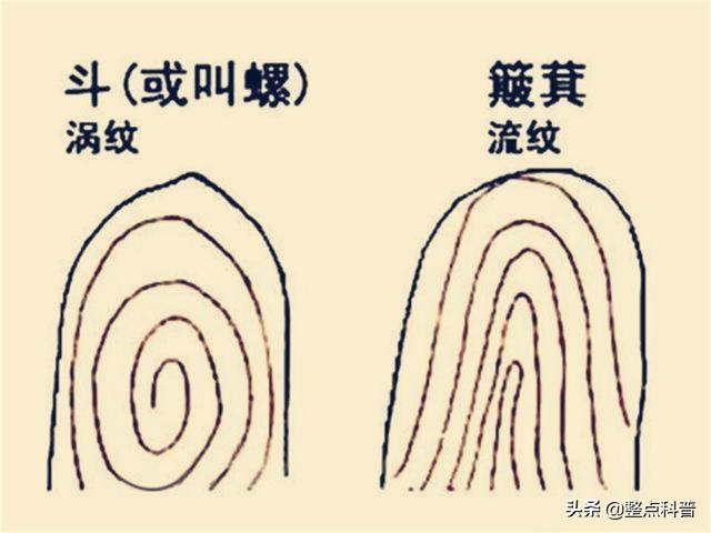 一斗穷、二斗富？康熙10个“簸箕”，中科院发现斗与簸箕的奥秘