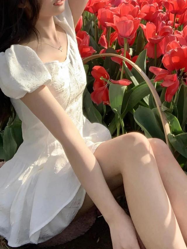 春日是永不消亡的罗曼蒂克