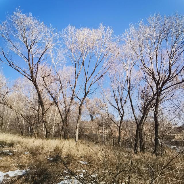 《美丽的草原我的家》回忆过去的日子