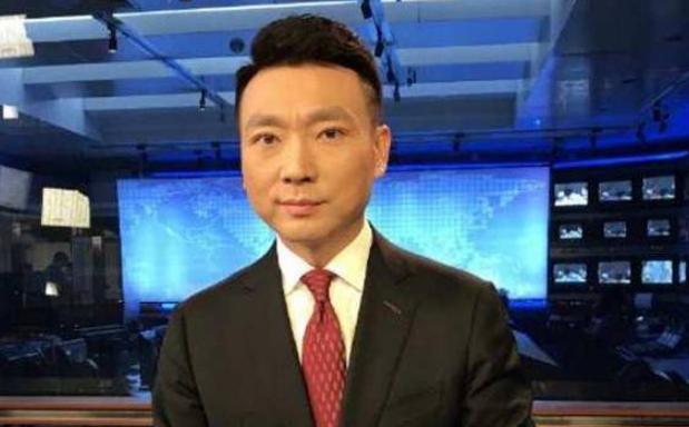 康辉：娶师妹刘雅洁，丁克22年让父母抱憾离世，风光的背后是眼泪