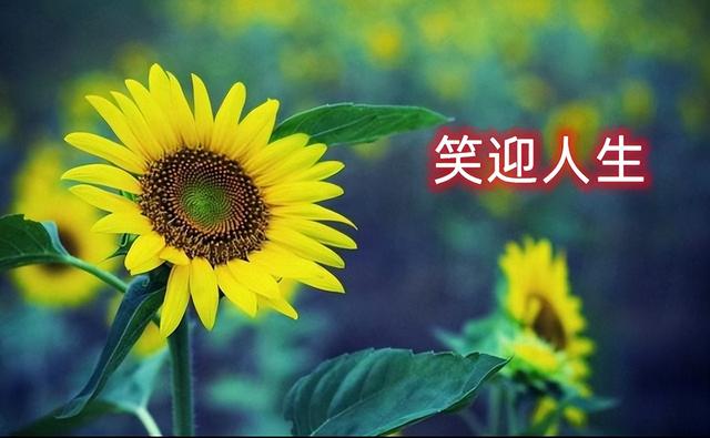 人生的苦，得自己扛；人生的福，得自己造