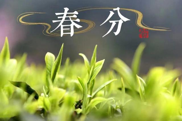 春色从此分，春光从此浓