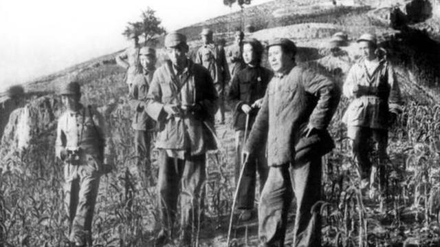 1984年贺子珍病逝，上海市委请示葬礼的规格，邓小平一句话定调