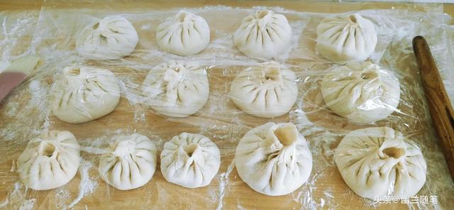 春天里，那些好吃的野菜——槐花