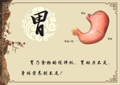肠胃不好？中医说可以这样进行调理，这些食物可以常吃
