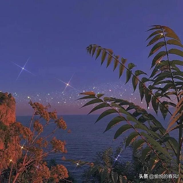 值得摘抄的文案，心灵寄托