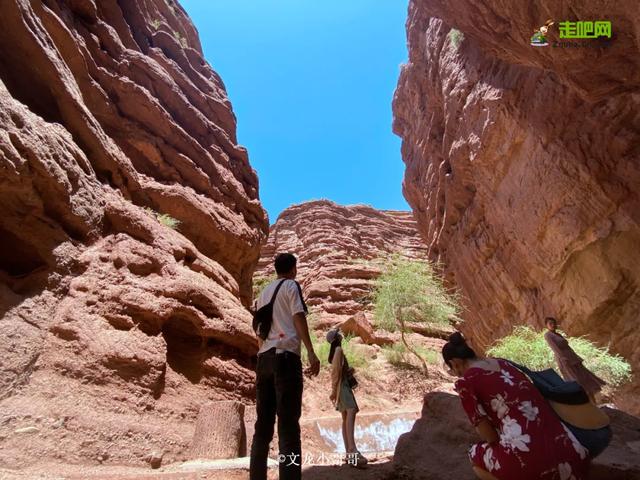 95後山西小夥，辭職做旅行自媒體，窮遊一年多，不留遺憾也不後悔