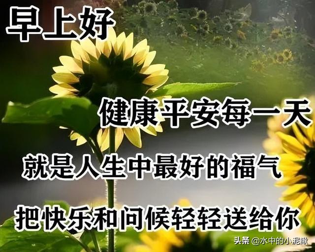 适合04月24日发微信朋友圈的早安句子