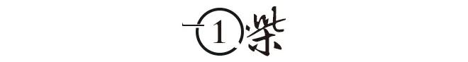 王传福：13岁丧父15岁丧母，嫂子卖嫁妆供上学，百亿身家不忘报恩