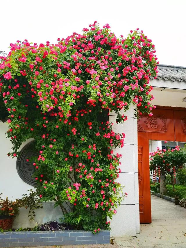 千万春花次第开