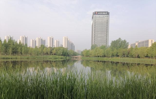 《龙游河畔》