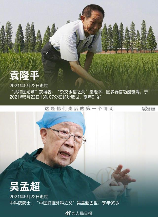 https://www.meipian.cn/56hripx7