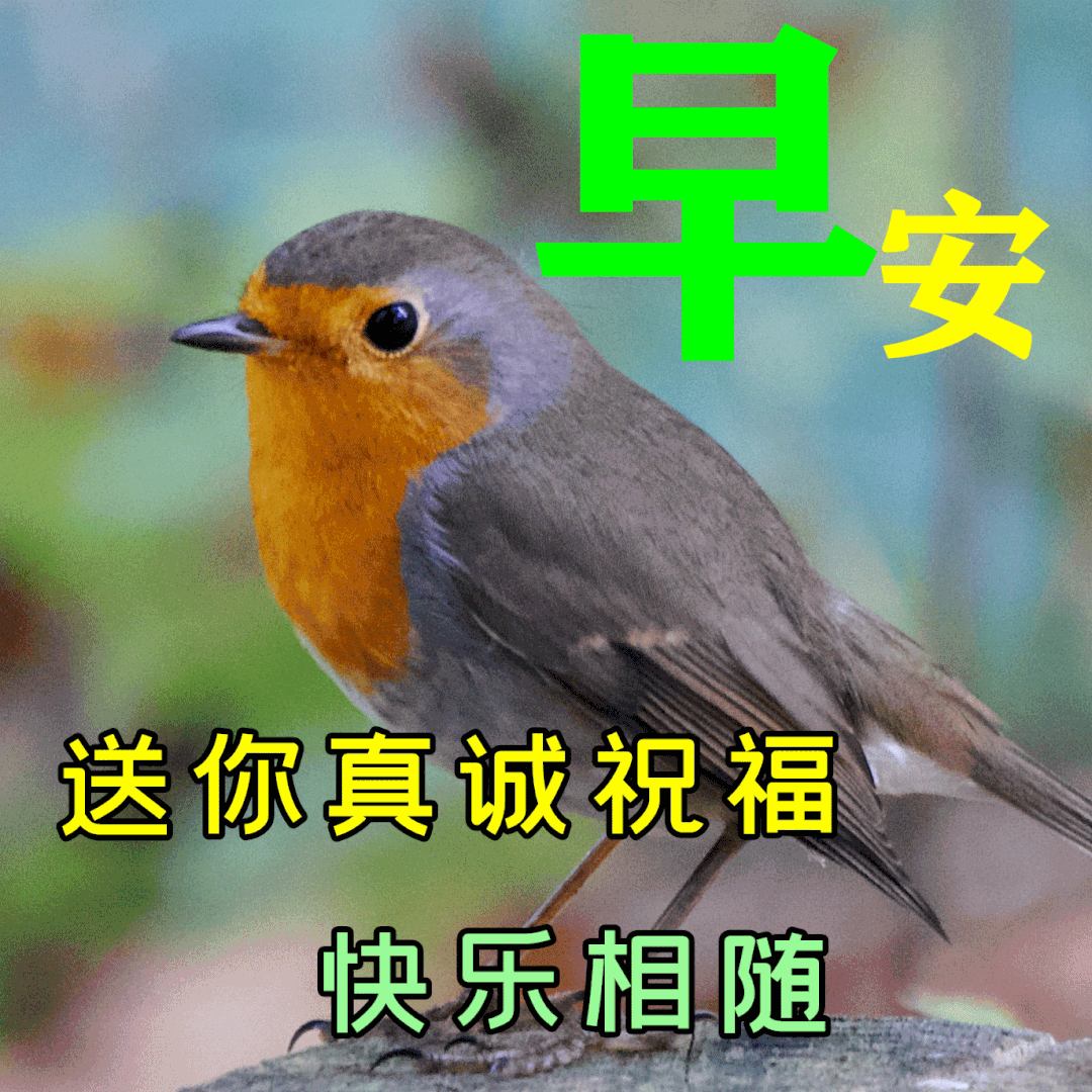 3月18日最美的早晨 早安问候图片温暖的早晨群发短语暖心问候动图-站