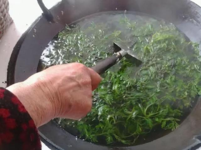 睡前坚持用艾叶泡脚，或能帮你改善这5种问题，不妨试试