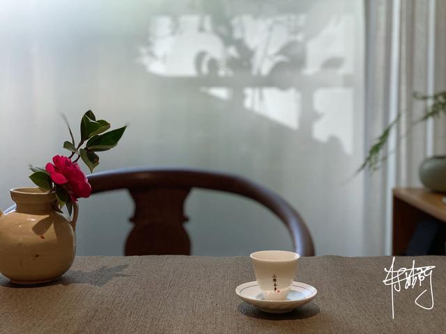 买茶名、买包装、买大全…4个常见的行为，都是买六大茶类的禁忌