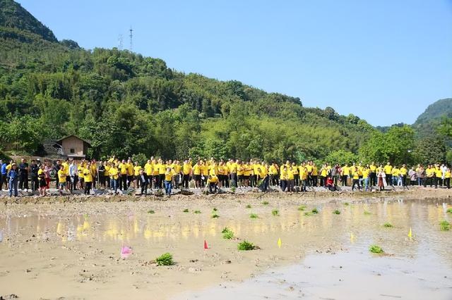 「泸州」合江县榕山镇：统战成员同参与，插秧竞赛种粮忙