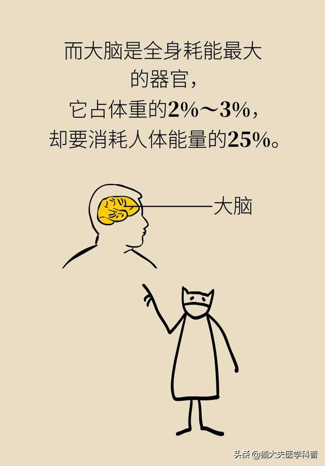 睡眠日丨睡不好的后果远比你想得更严重，你可能会变傻