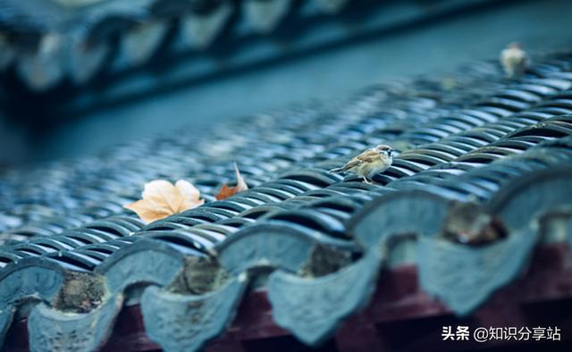 戏剧茶馆的剧情介绍(电视剧茶馆剧情介绍)