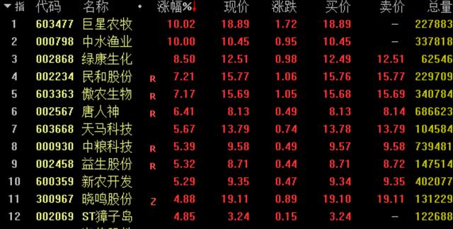 全国稳住经济大盘电视电话会议召开