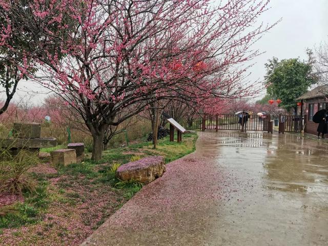 陶醉在春光里，惊艳在时光中