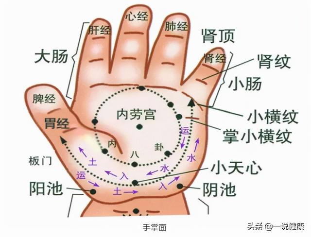 小儿推拿常用穴位（二）