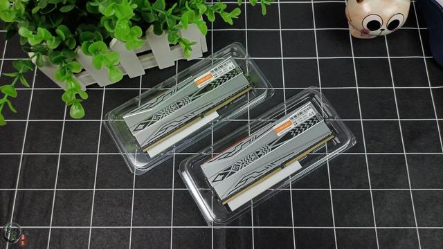 国产内存条真的杀疯了！采用长鑫颗粒，台电马甲条150元8G