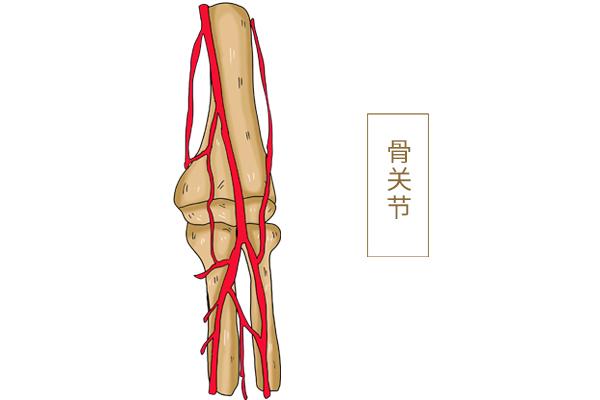 增高手术费用