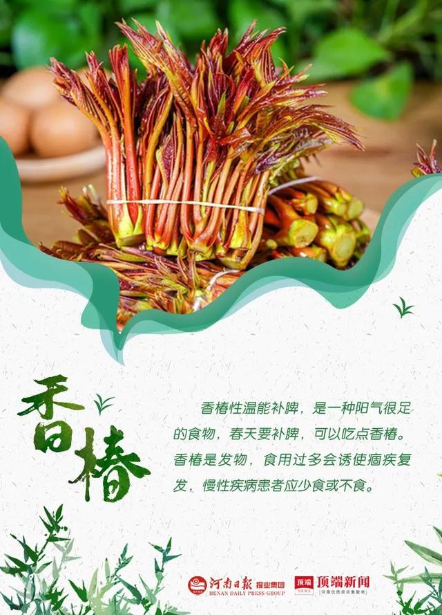 郑州野菜采摘地图出炉！香椿、荠荠菜...挖野菜全攻略，还不赶紧收藏