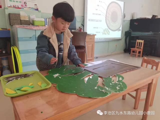 「2021112」树真好——《鹿宝儿与树》中班园本课程（二）