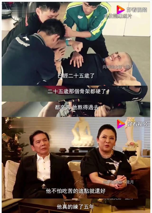 有种“整容”叫郭碧婷结婚，老公向佐变化不大，她却像换个人