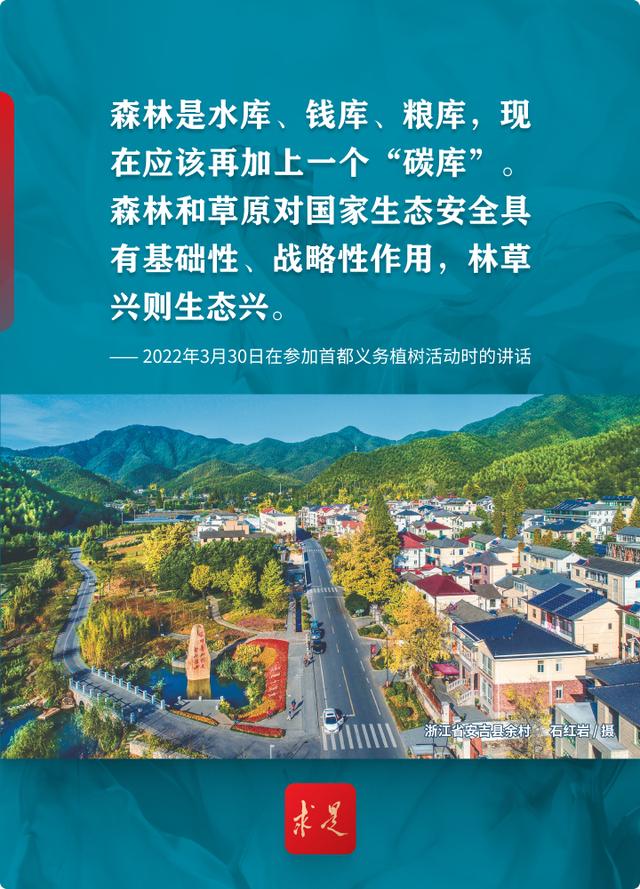 十年树木，总书记深情寄语