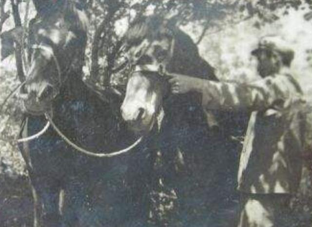 1950年，一摆摊大爷受重用，纳闷：我从没见过毛主席，他怎知道我
