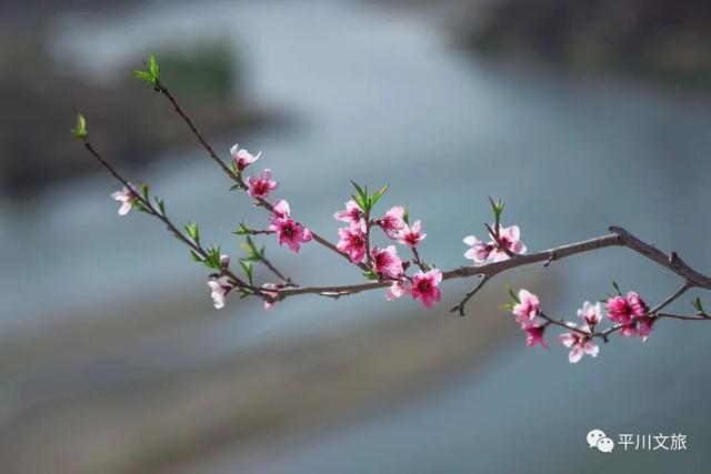 平川：诗一样的陡城风光