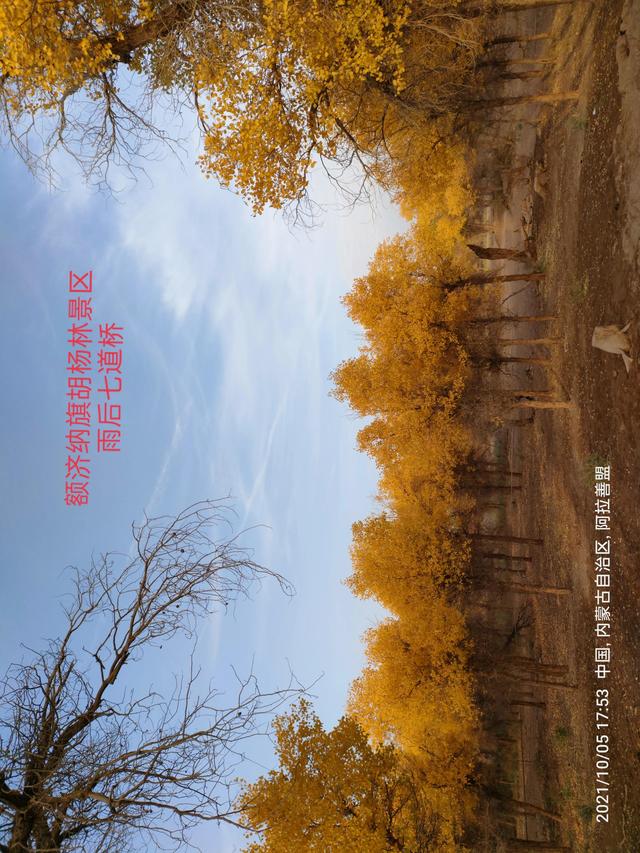 西行漫記之10月5日內蒙古篇
