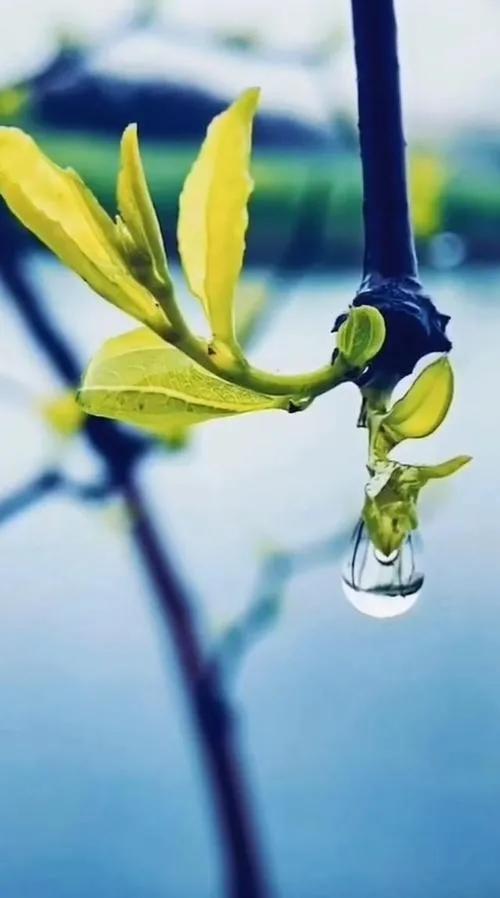 春回大地万物复苏春回大地万物复苏写一段话