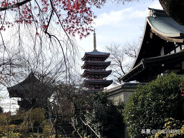 德村志成：落葉殘楓依然美麗，久違北小金本土寺
