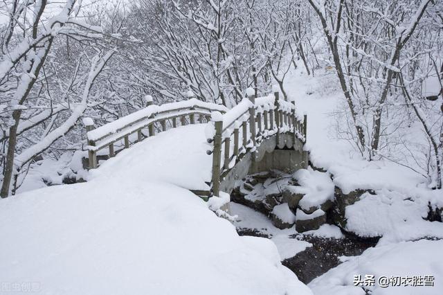 瑞雪的意思