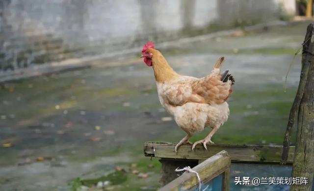 合肥水泥机械展