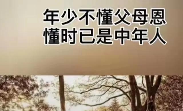 https://blog.sina.com.cn/s/blog_95b83d1401030ld8.html