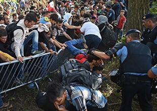 西方操办乌逃亡政府，泽连斯基破口大骂，中方给俄乌开出解决良方