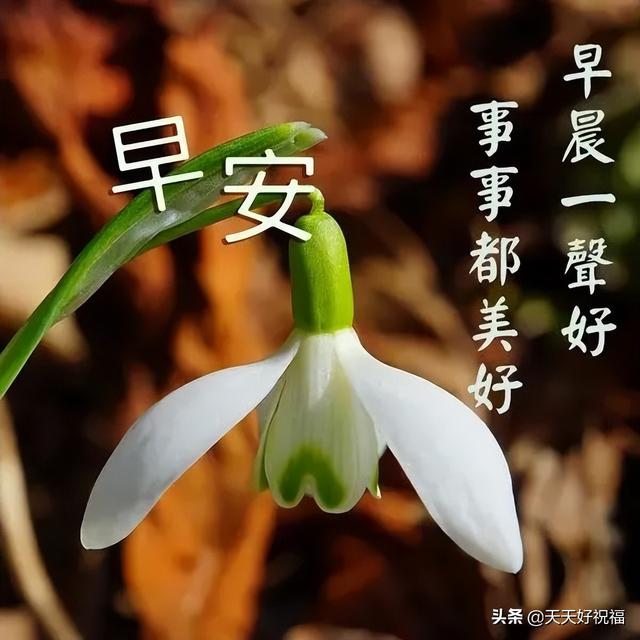 微信雨蒙蒙教程,每天微信问候带字图片-站库网
