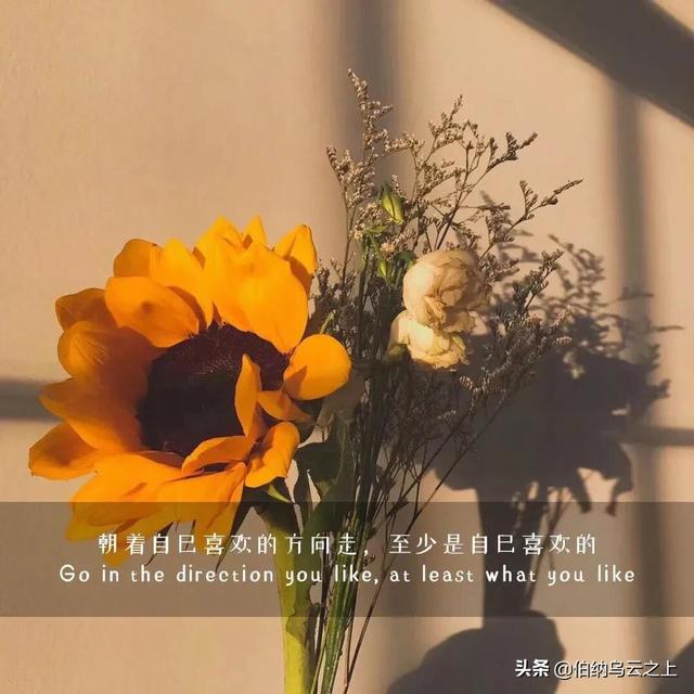 人间四月天：静候一树树花开，抓住春的尾巴，别有一番诗意