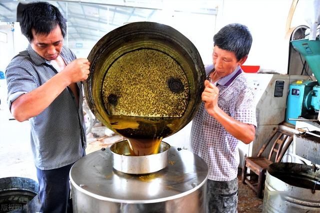 什么油“最”不健康呢，是大豆油吗？提醒：这2种油尽量要少吃